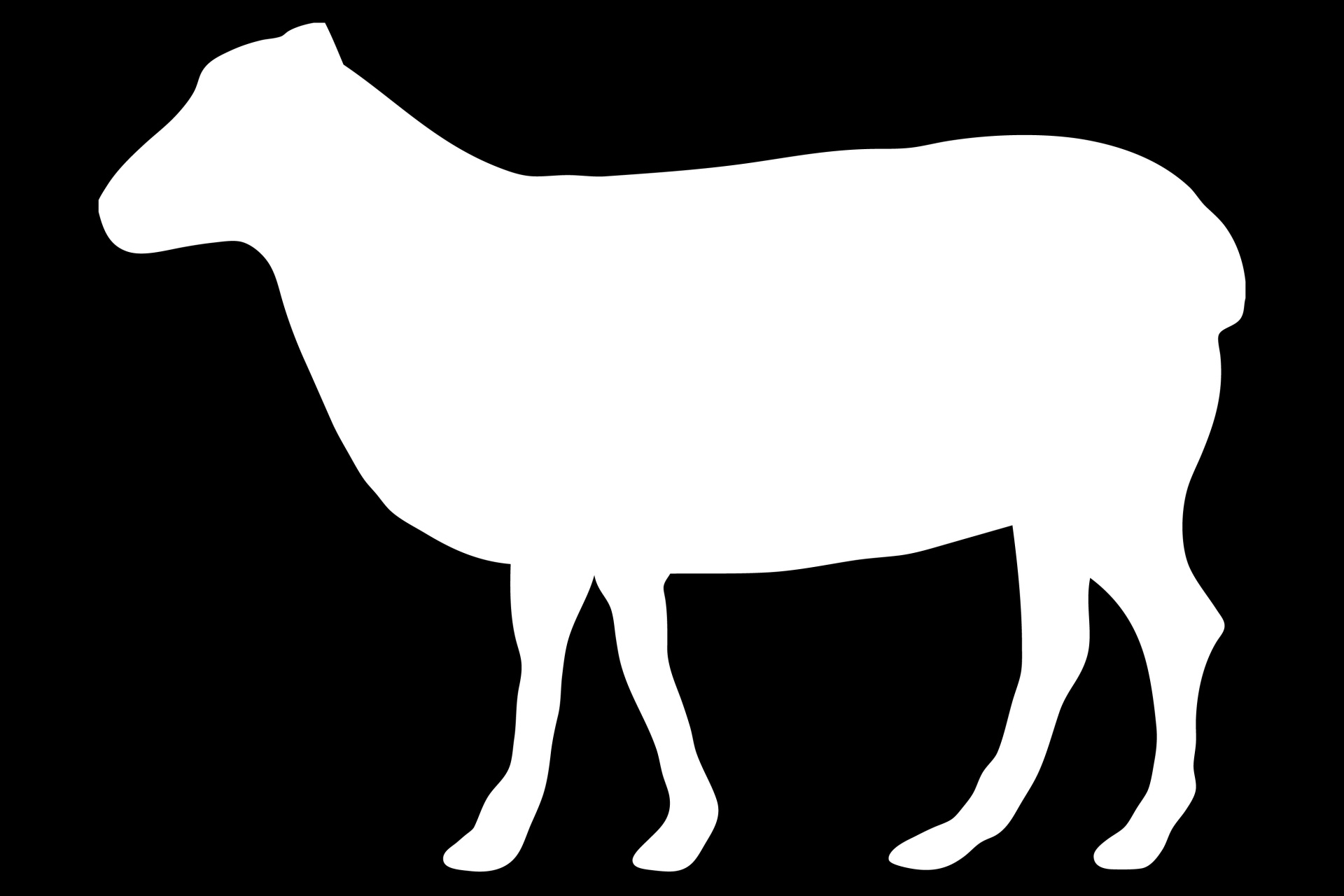 1920x1280 Sheep White Silhouette Free Stock Photo