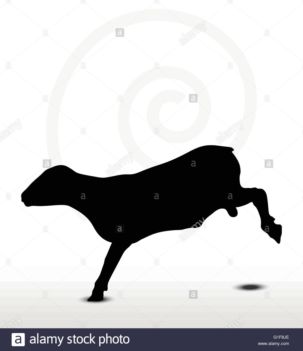 1198x1390 Vector Image