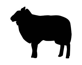 340x270 Sheep Farm Animals Graphics Svg Dxf Eps Png Cdr Ai Pdf Vector Art