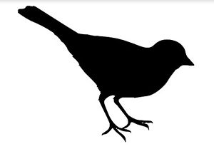 300x209 Bird Silhouette Sticker Vinyl Wind Shield Bumper Suitcase Luggage