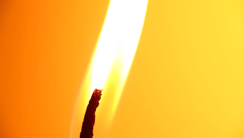 846x480 Stock Video Of A Zoomed In, Tilting Shot Of A Palm Tree Silhouette