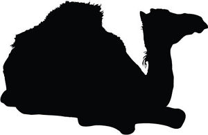 300x195 Camel Sitting Down Silhouette Sticker Car Bumper Sticker