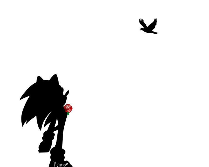 Silhouette Sonic