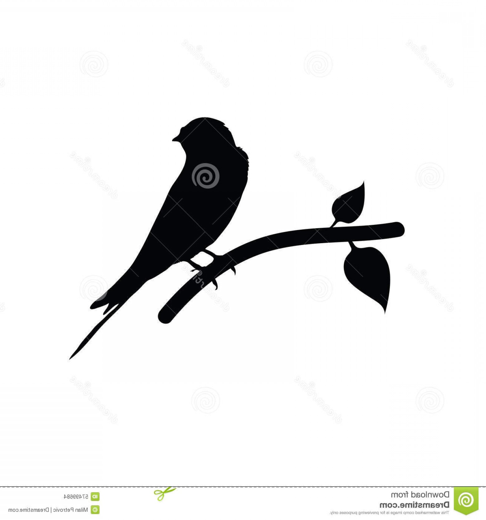 1560x1668 Sparrow Vector Graphics Arenawp