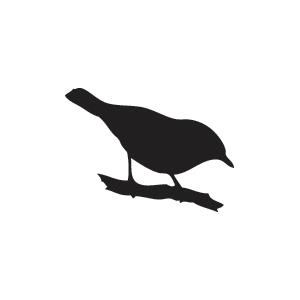 300x300 Bookstore Appearances!