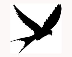 236x188 Flying Sparrow Silhouette Thumb Colourbox6858774.jpg Art
