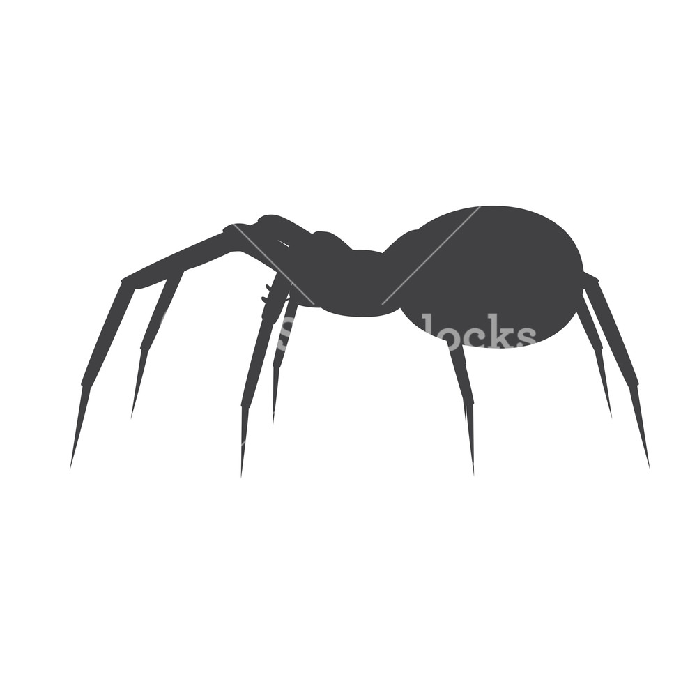 1000x971 Halloween Spider Silhouette Vector Illustration Royalty Free Stock
