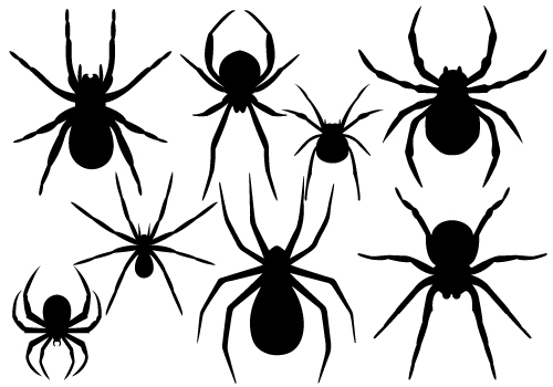 500x350 Spider Silhouette Clipart