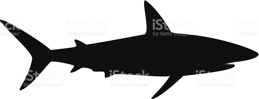 1024x393 Shark Silhouette Clip Art Clipart Collection