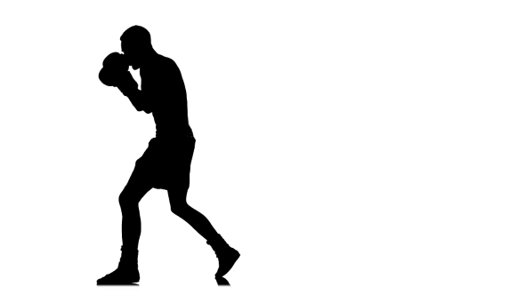 590x332 Shadow Boxing. Black Silhouette On A White Background By Kinomaster