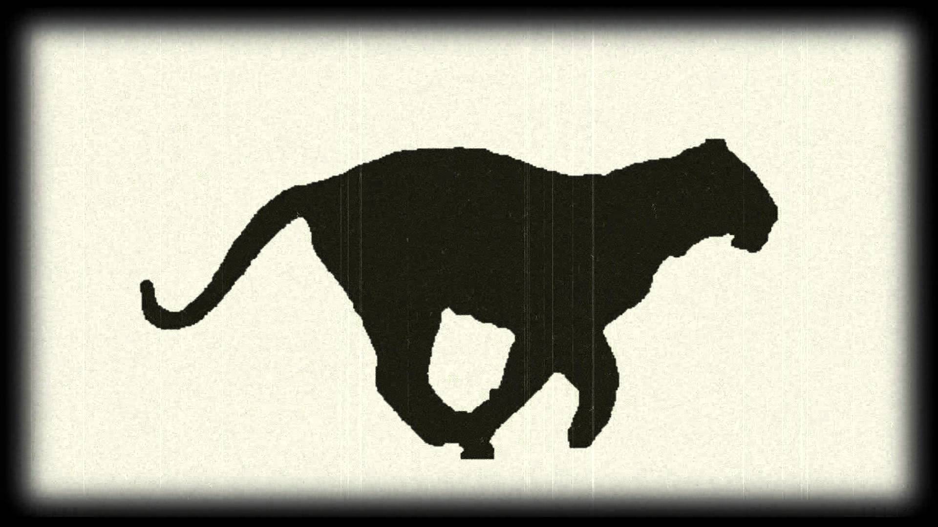 1920x1080 The Tiger In Motion Running Tiger Animation