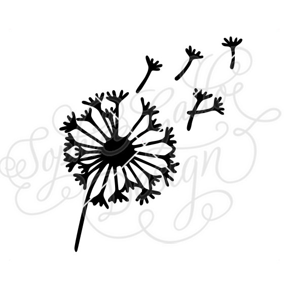570x570 Dandelion Flower Svg Dxf Png Digital Download File Silhouette
