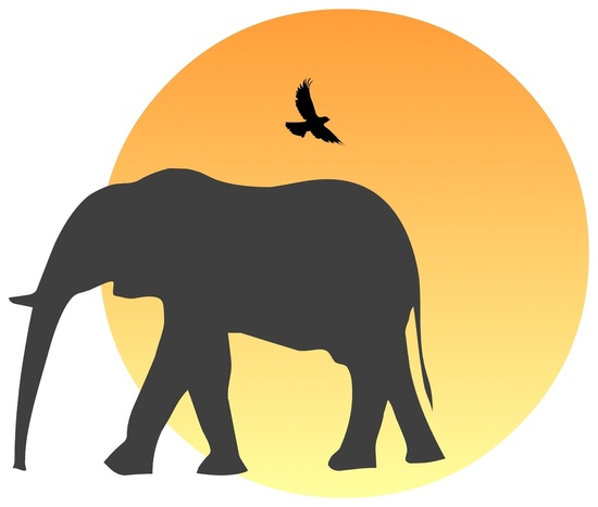 550x467 Elephant Silhouette