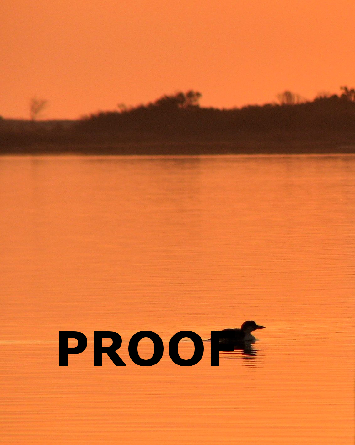 1131x1415 Sunrise Loon Silhouette Proof