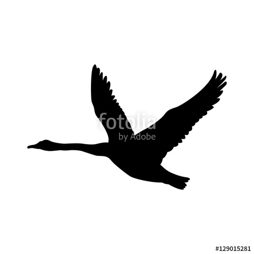 500x500 Swan Fly Vector Illustration Black Silhouette Stock Image