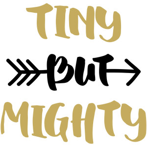 300x300 Silhouette Design Store