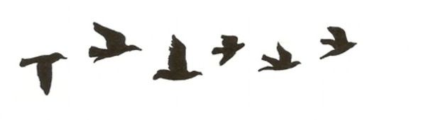 600x170 Bird Silhouette Tattoos Things I Birds Silhouette
