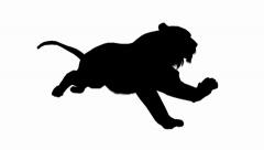 240x136 Video Tiger Running Sketch Silhouette,wildlife Animals Habitat
