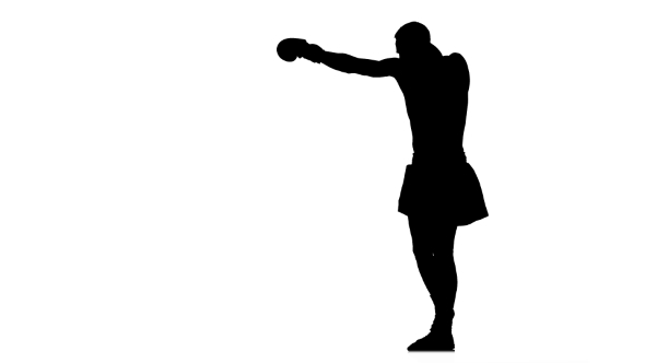 590x332 Silhouette Of Boxer In Training Do Different Blows By Hands By