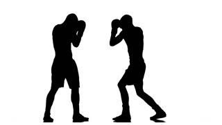 320x180 Silhouette Of Sportsmen Training. Two Kickboxer Sparring Stock