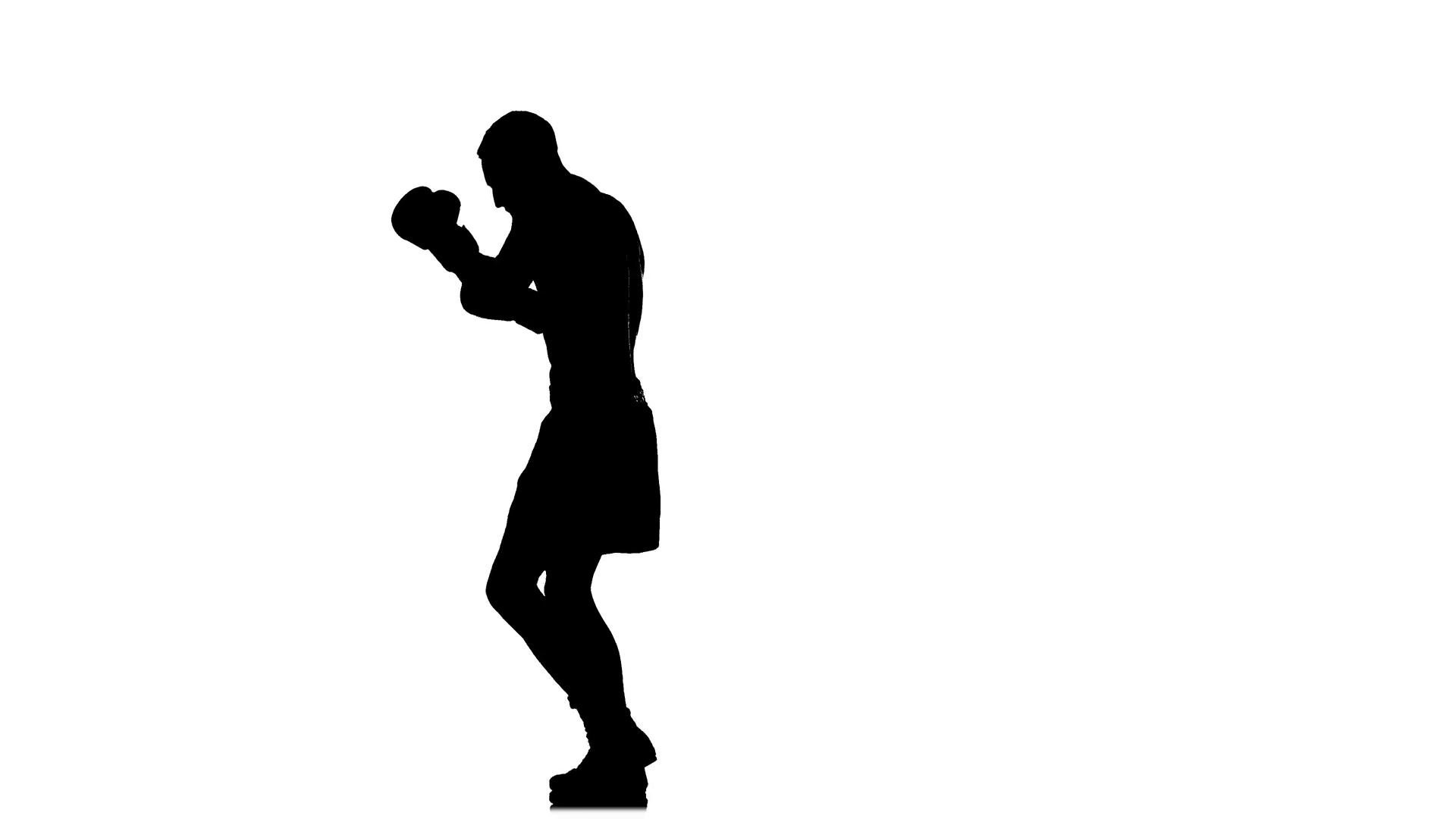 1920x1080 Training A Boxer. Black Silhouette On A White Studio Background