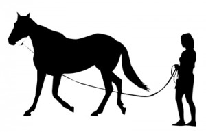 300x193 Horse Training Clipart
