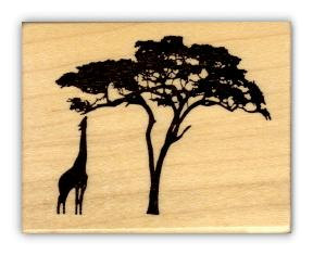 288x235 Giraffe And Acacia Tree Silhouette African Mounted Rubber Stamp