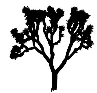 336x321 Yoshua Tree Clipart