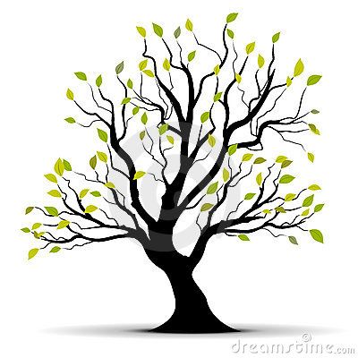 400x400 Green Vector Tree Over White Graphic