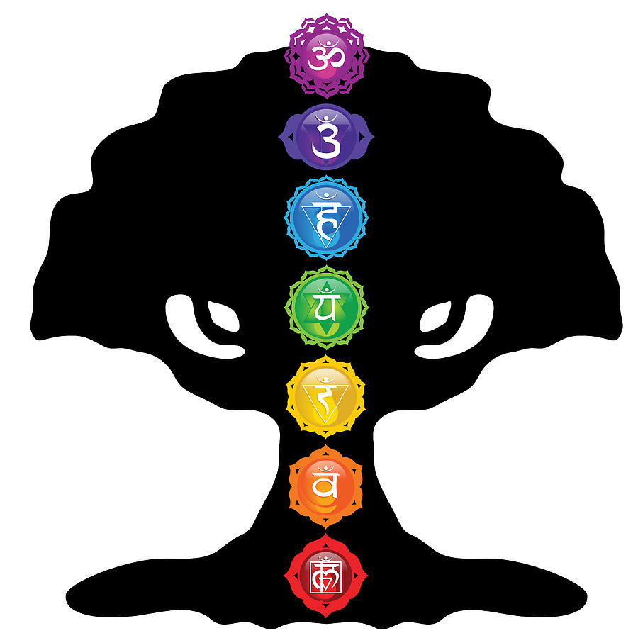 900x900 Tree Of Life Silhouette With Seven Chakras Digital Art By Serena King