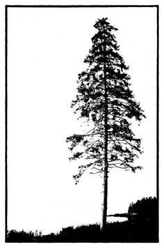 Silhouette Tree Tattoos