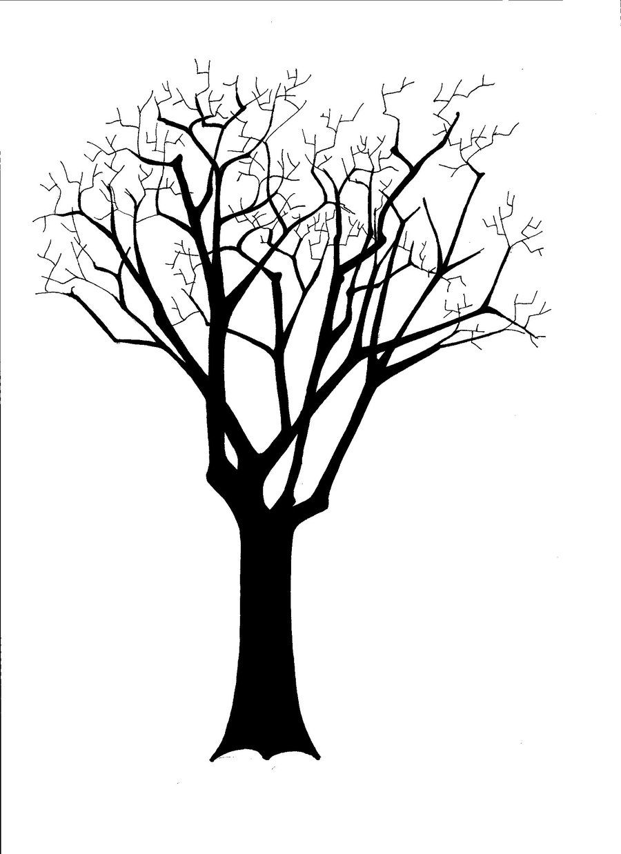 900x1238 Image Result For Tree Silhouettes Stencils Tree