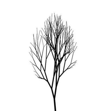 384x384 Resultado De Imagem Para Minimalist Tree Tattoo