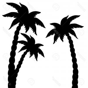 300x300 Silhouette Of Palm Tree Vector Clipart Lazttweet