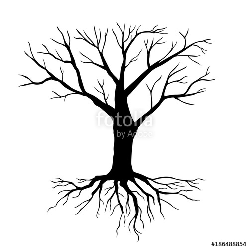 500x500 Silhouette Tree Without Leaves Stock Image And Royalty Free
