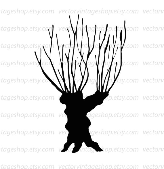 570x587 Willow Tree Vector Clipart Bare Tree Trunk Silhouette Clip