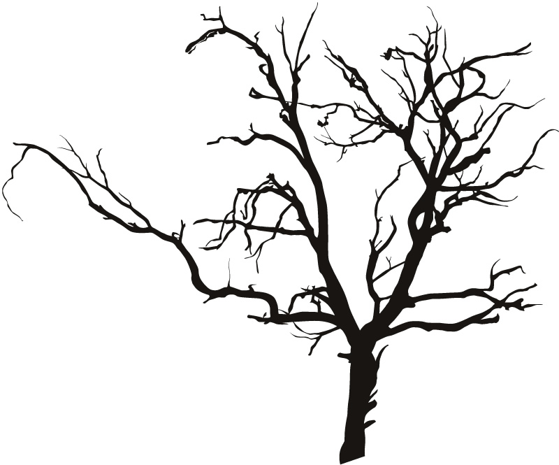 800x665 Scary Tree Silhouette Clipart