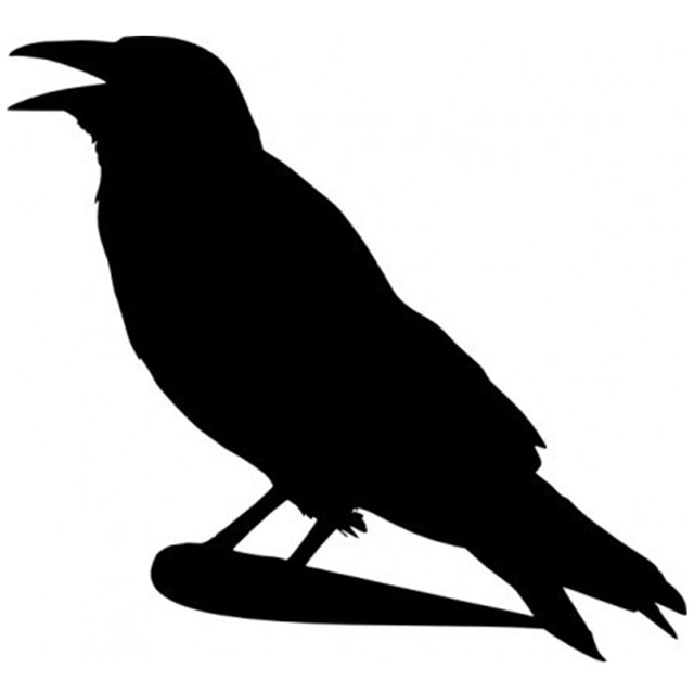 640x640 Crow Silhouette Car Window Sticker Vinyl Decal Funny Jdm