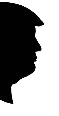 242x475 Trump Putin Connection Collusion Is Not Core