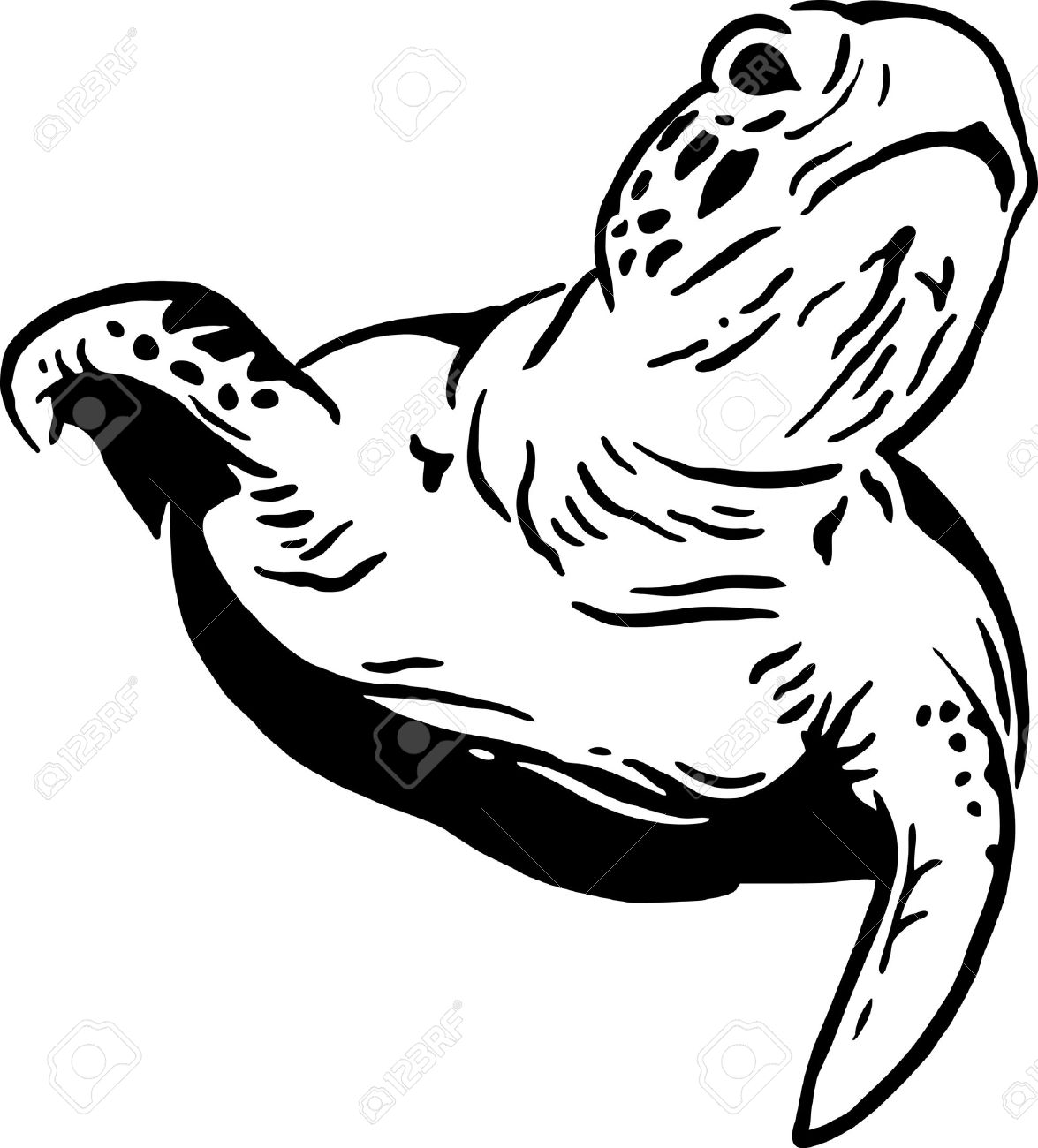 1175x1300 Turtle Silhouette Black And White Clipart Collection