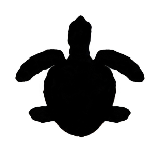 640x618 Baby Sea Turtle Silhouette
