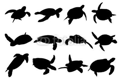400x267 Sea Turtle Silhouette