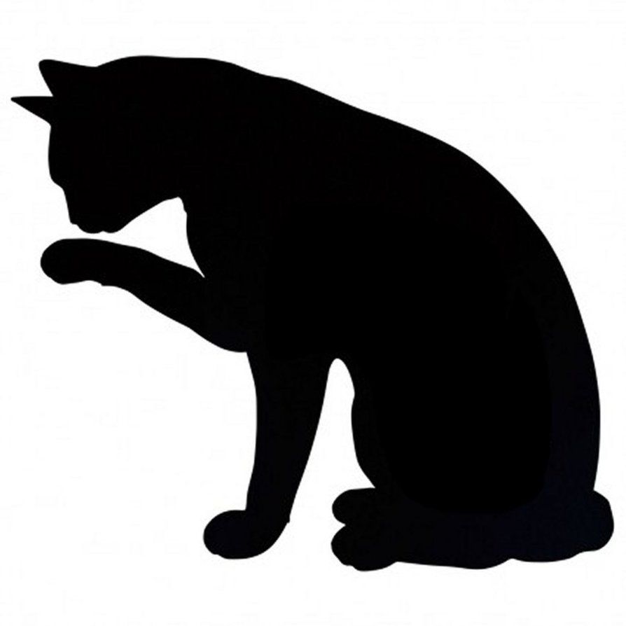 894x894 Black Cat Silouette Looks Like Mr.pickles!