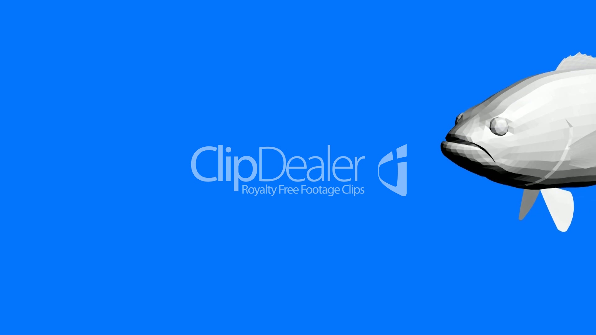 1920x1080 Moving Of 3d Fish.sea,ocean,water,animal,isolated,tropical