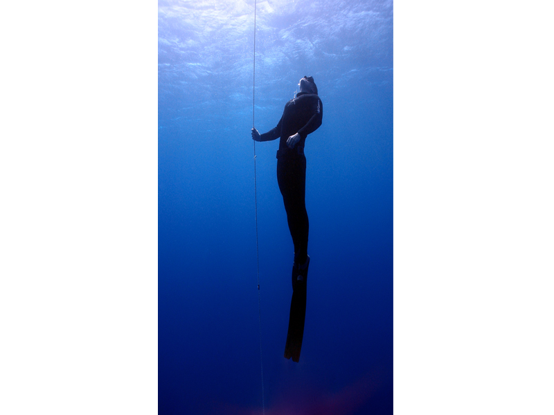 800x600 Apnoe Diving