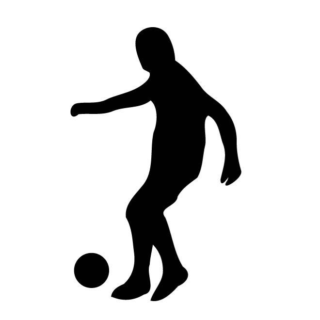 660x660 Silhouette Of A Trout