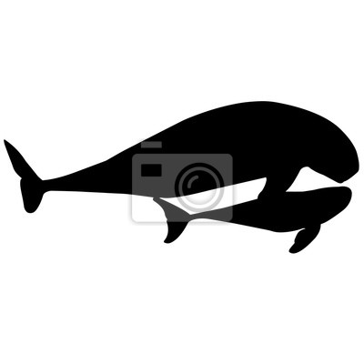 400x400 Silhouette Vectorielle De Marsouin Papier Peint Papiers Peints