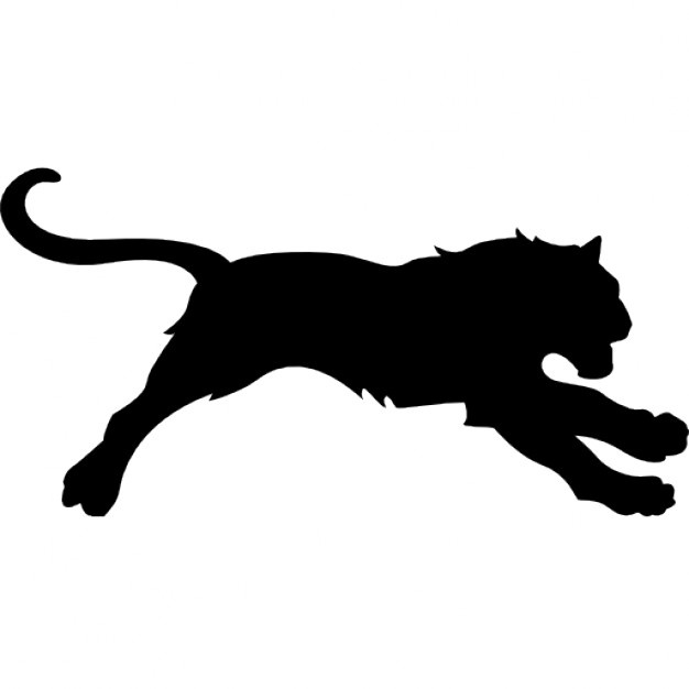 626x626 Tiger Silhouette Vectors, Photos And Psd Files Free Download