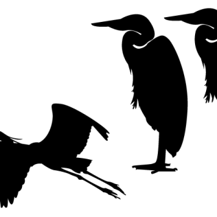316x316 Bird Silhouette Vectors Download Free Vector Art Amp Graphics