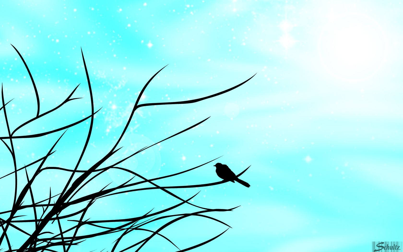 1680x1050 Silhouette Of Bird On Tree In The Winter Wallpaper Crafts